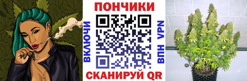 Купить закладку ГАШ  КОКАИН  Псилоцибиновые грибы  Канабис  Мефедрон  Осинники