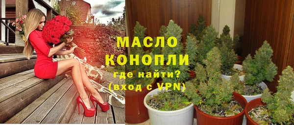 молекула духа Киреевск
