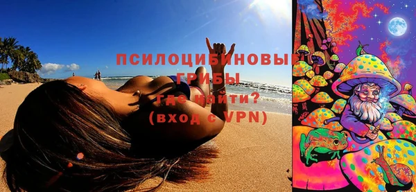 молекула духа Киреевск