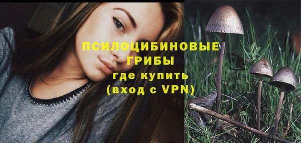 молекула духа Киреевск