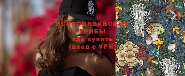 молекула духа Киреевск
