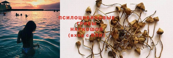 молекула духа Киреевск