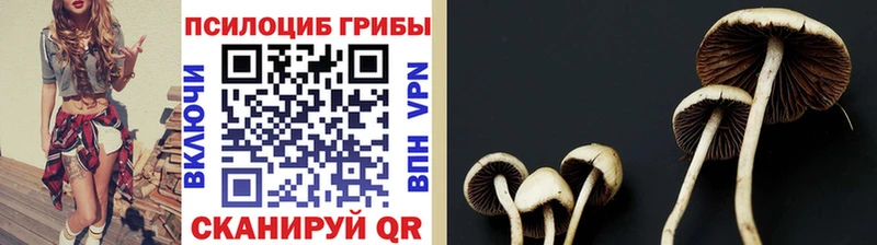 Галлюциногенные грибы MAGIC MUSHROOMS  Купить  Осинники 