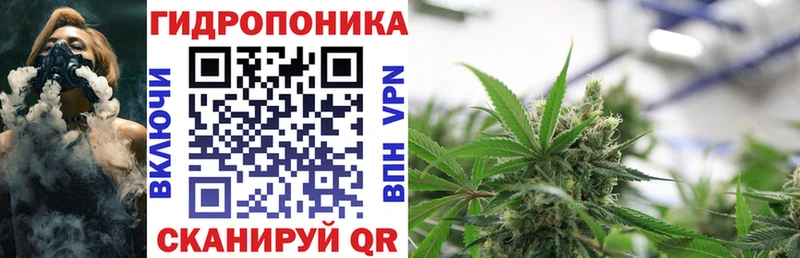 МАРИХУАНА Bruce Banner  Купить закладки  Осинники 
